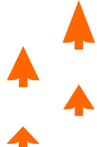 TA_Trees Sequence-01