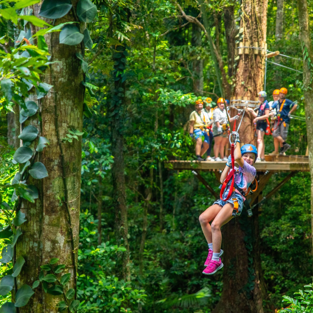 Treetops Cape Tribulation_Square